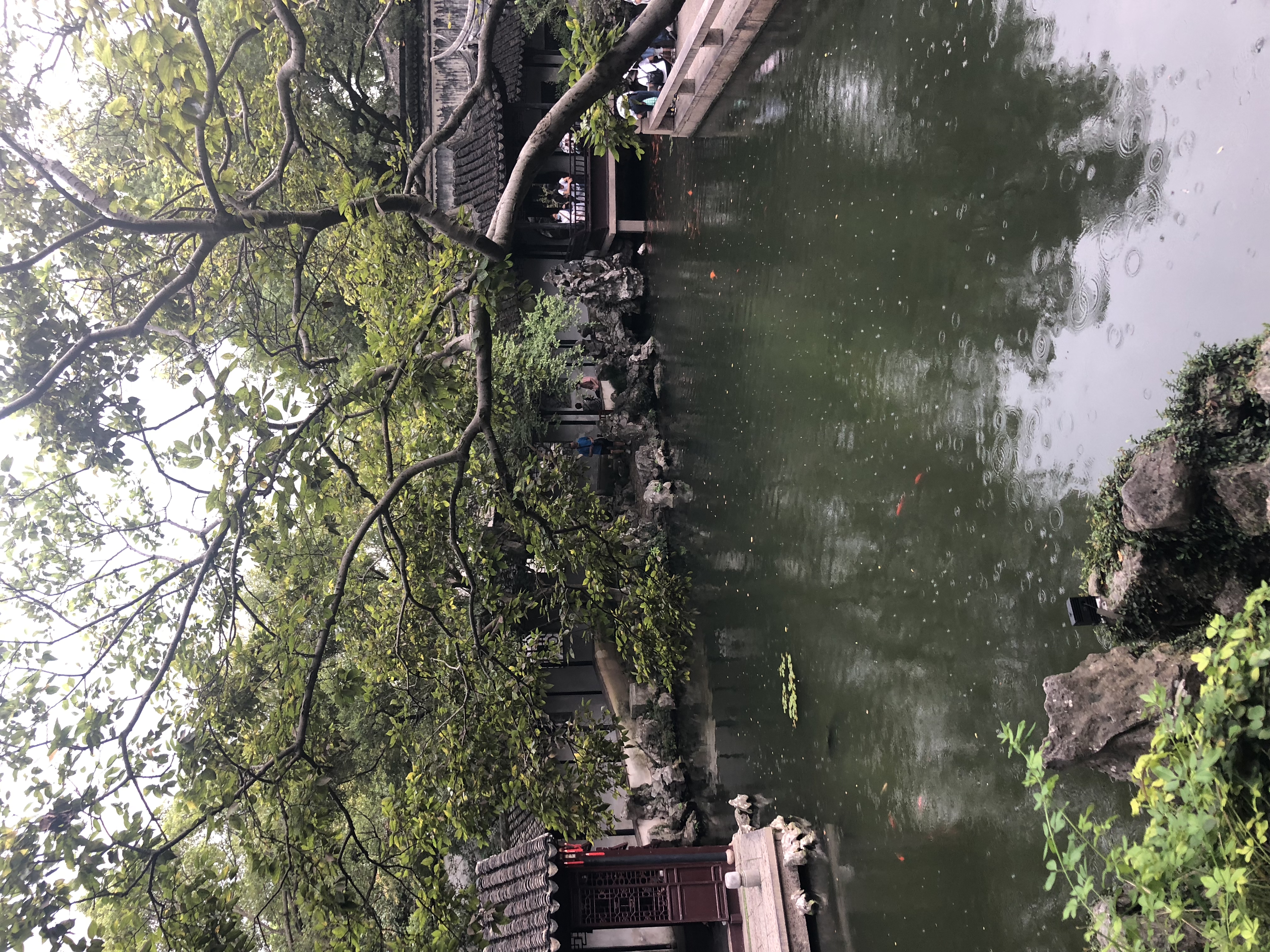 （镇江南-王美霞）满池涟漪，半浸秋色.jpg